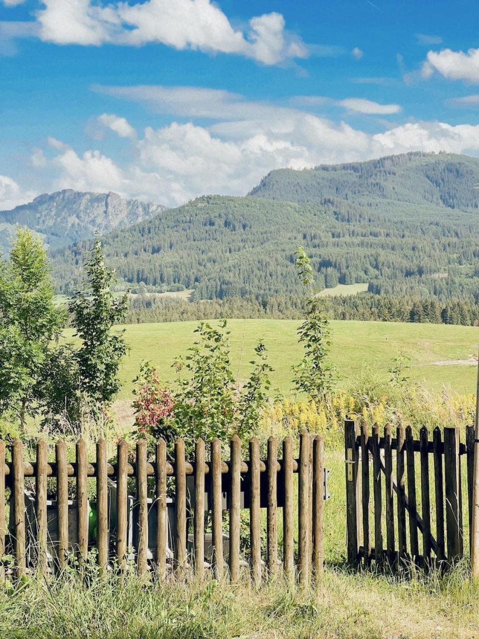 Apartment Haus Bergblick